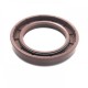 Pressure Oil Seal 33x50x7/7,5 N1T01 FPM [BABSL]